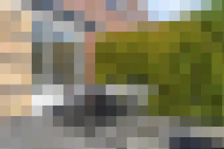 Hollywoodlaan 98 Almere thumbnail 26