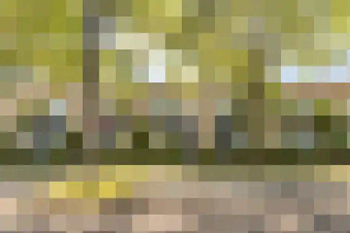 Hollywoodlaan 98 Almere thumbnail 6
