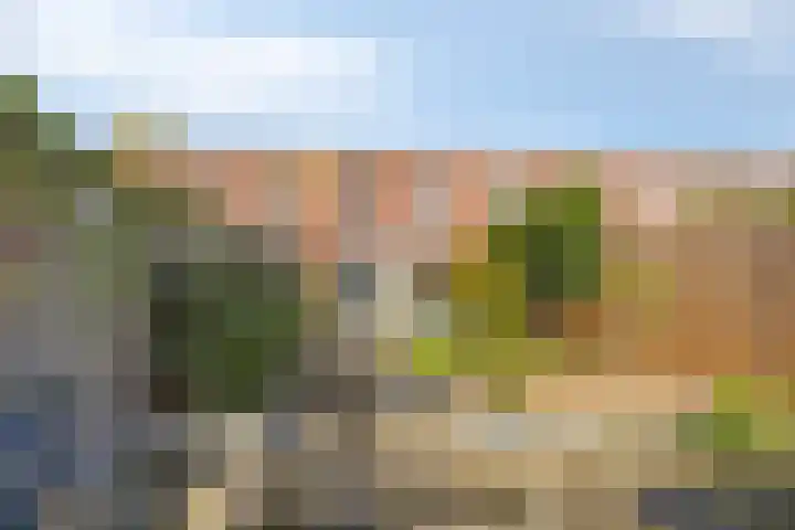 Hollywoodlaan 98 Almere thumbnail 62
