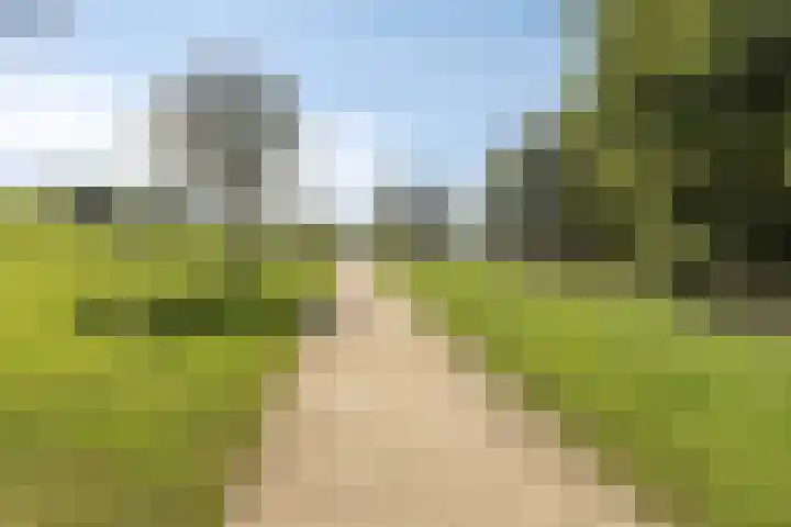 Hollywoodlaan 98 Almere thumbnail 63