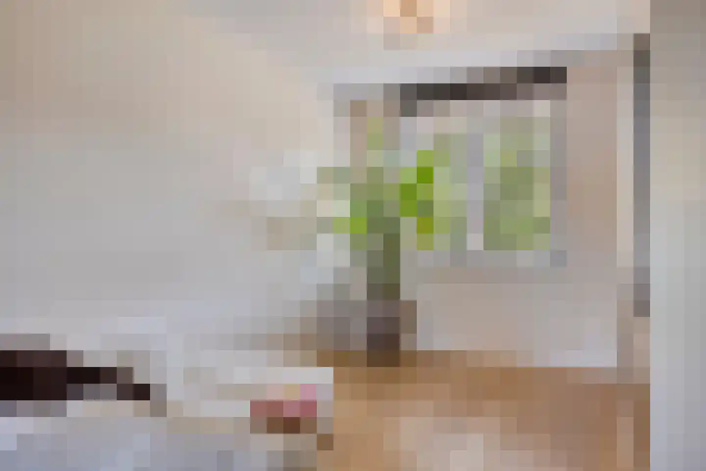 Holmersweg 12 Lochem thumbnail 27