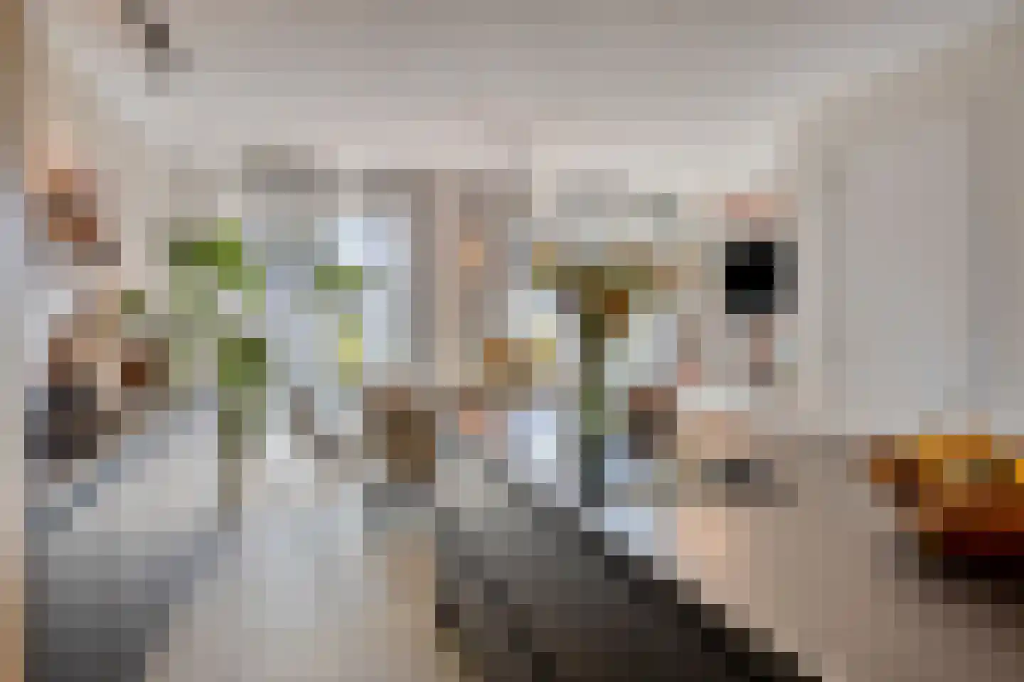 Holmersweg 12 Lochem thumbnail 4
