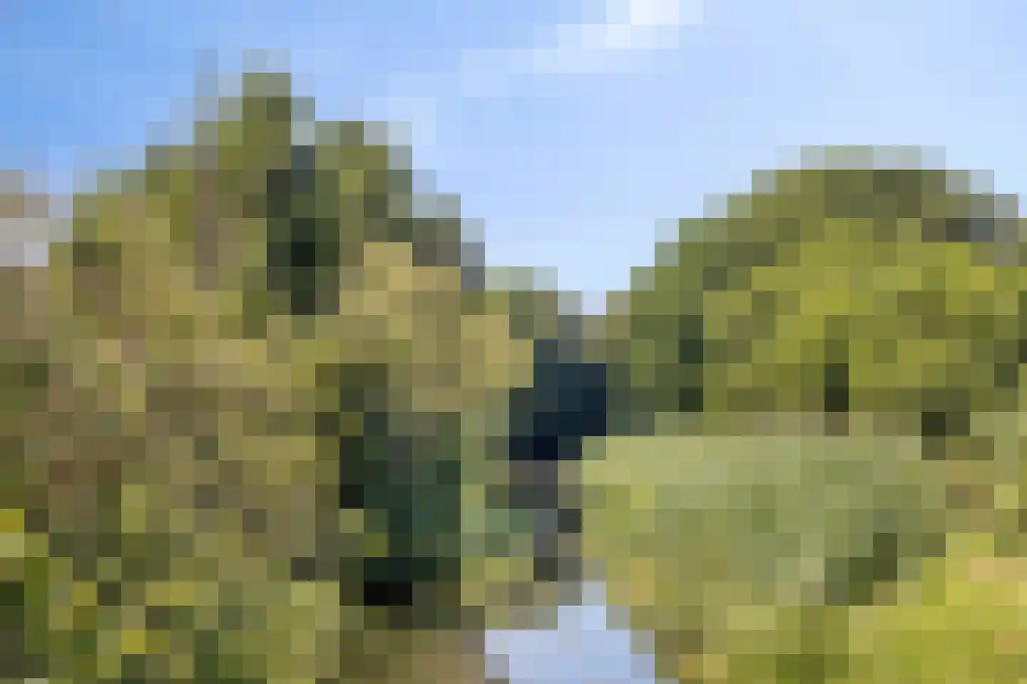 Holmersweg 12 Lochem thumbnail 43