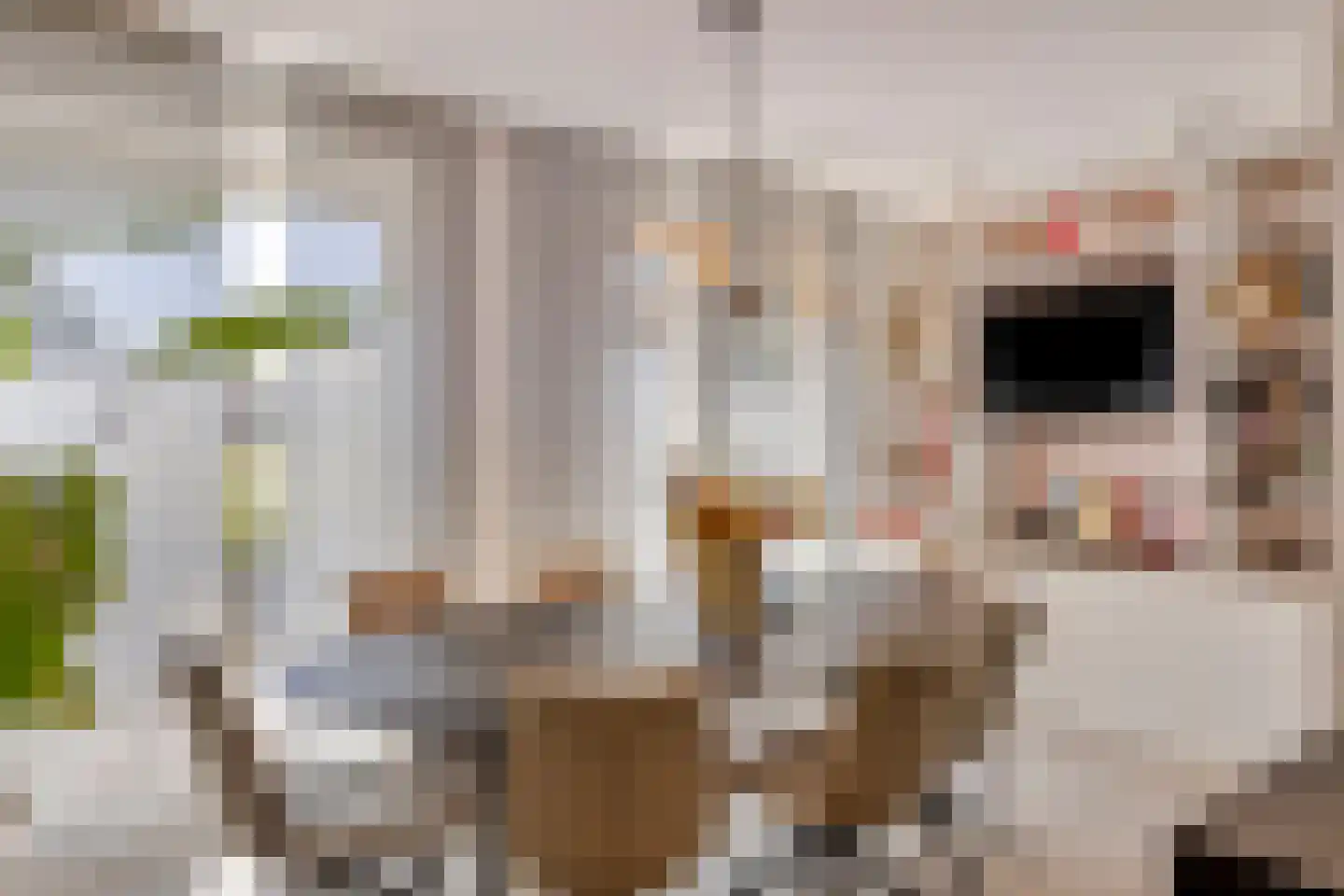 Holmersweg 12 Lochem thumbnail 5