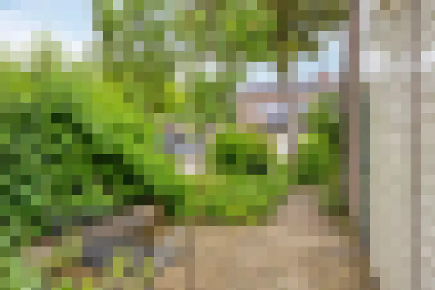 Holmsterheerd 30 Groningen thumbnail 14