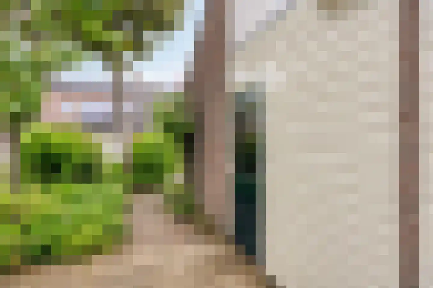 Holmsterheerd 30 Groningen thumbnail 15