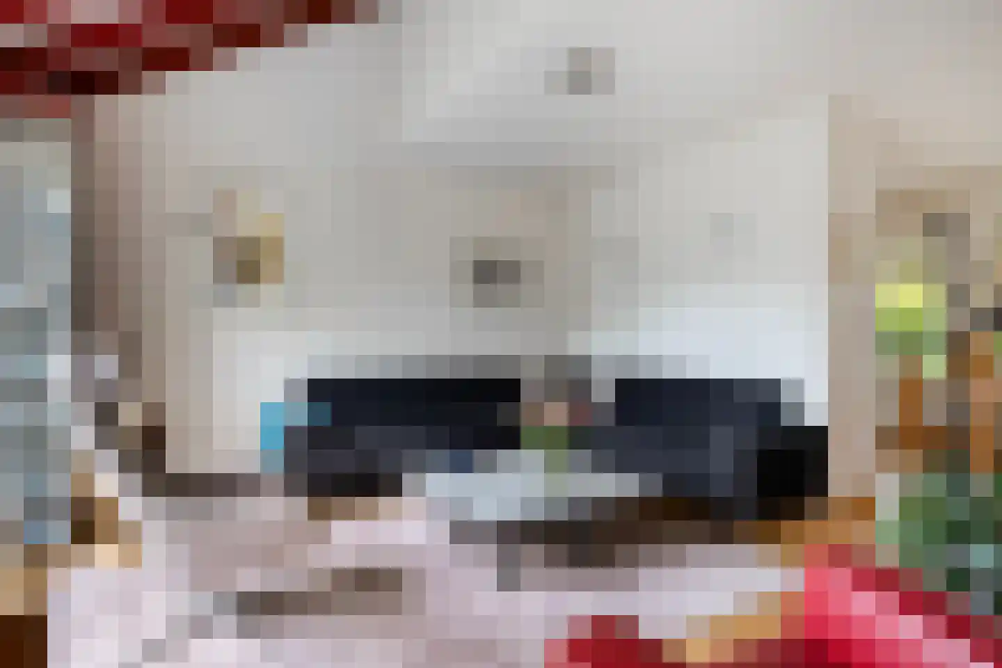 Holmsterheerd 30 Groningen thumbnail 20