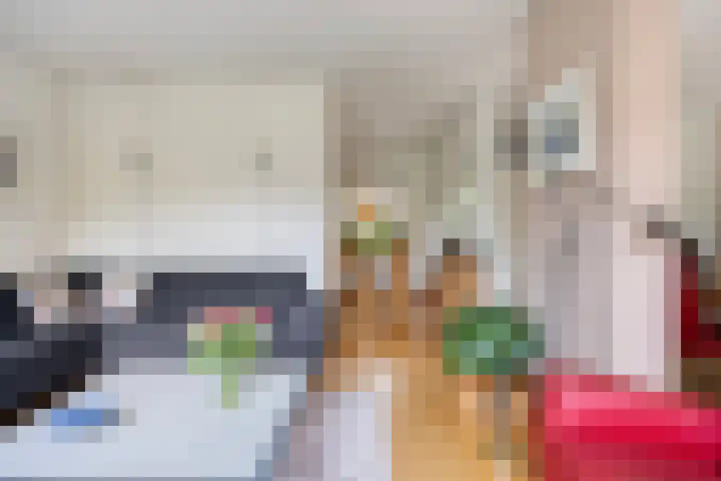 Holmsterheerd 30 Groningen thumbnail 22