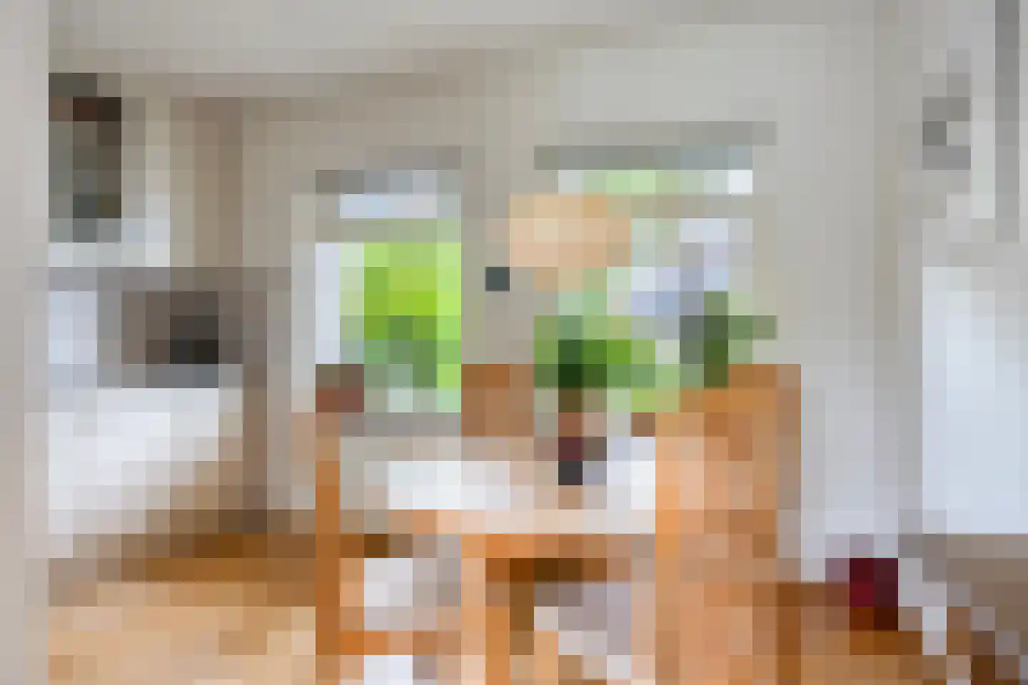 Holmsterheerd 30 Groningen thumbnail 23
