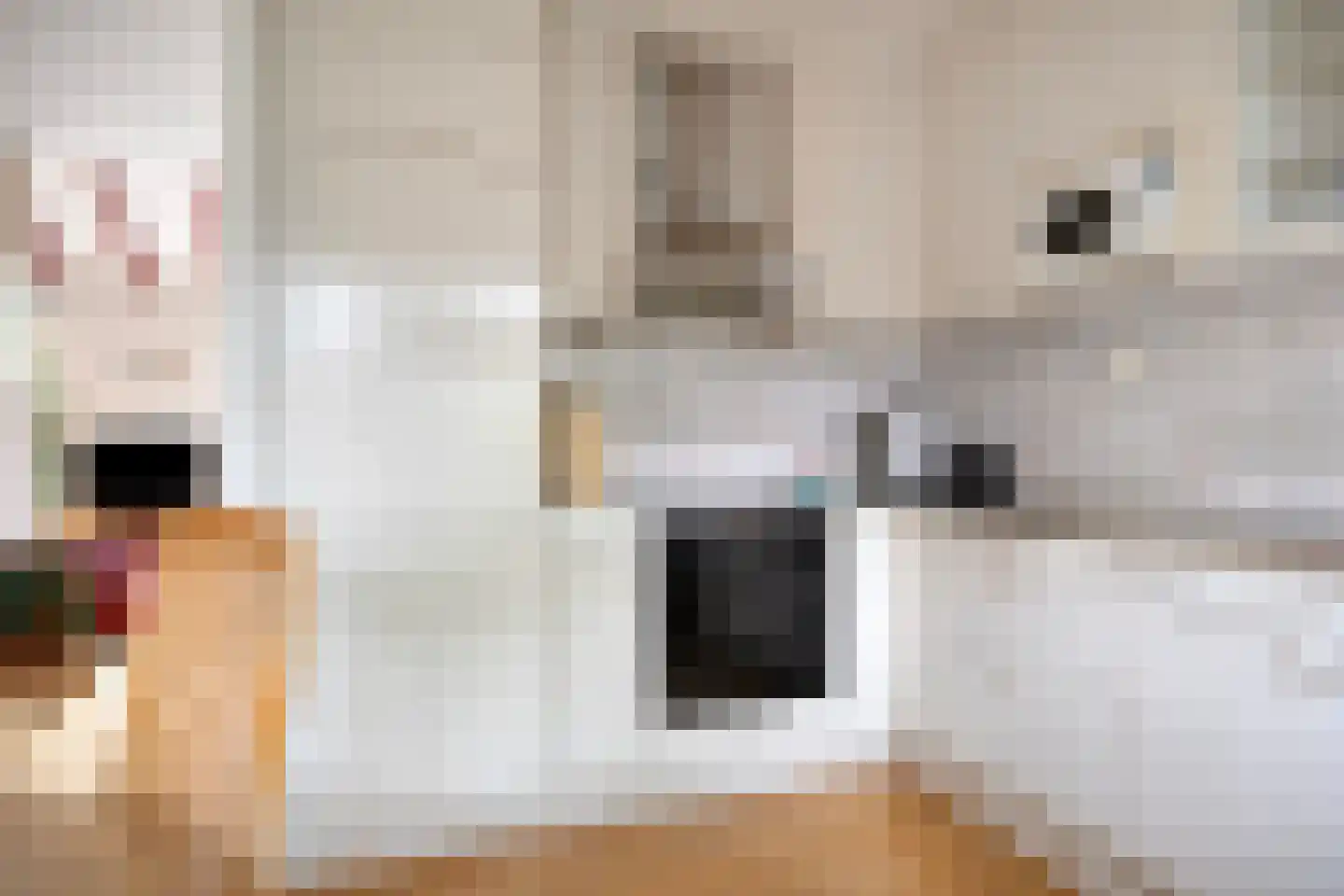 Holmsterheerd 30 Groningen thumbnail 25