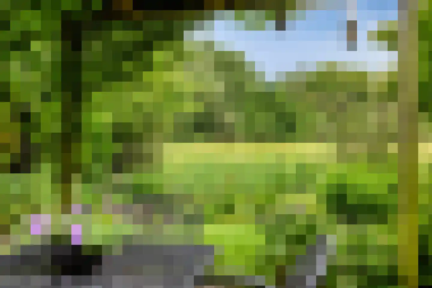 Holmsterheerd 30 Groningen thumbnail 4