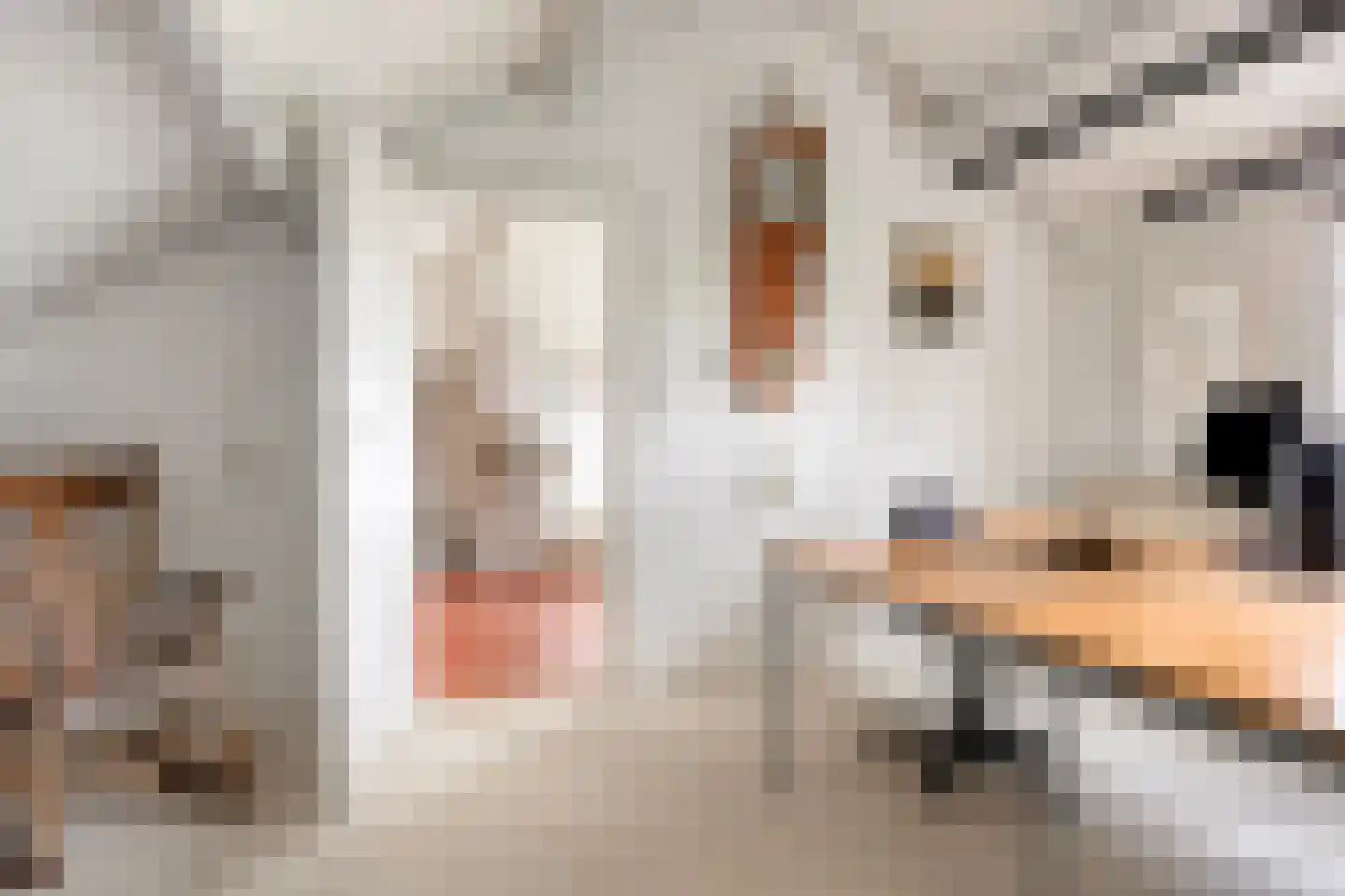 Holmsterheerd 30 Groningen thumbnail 40