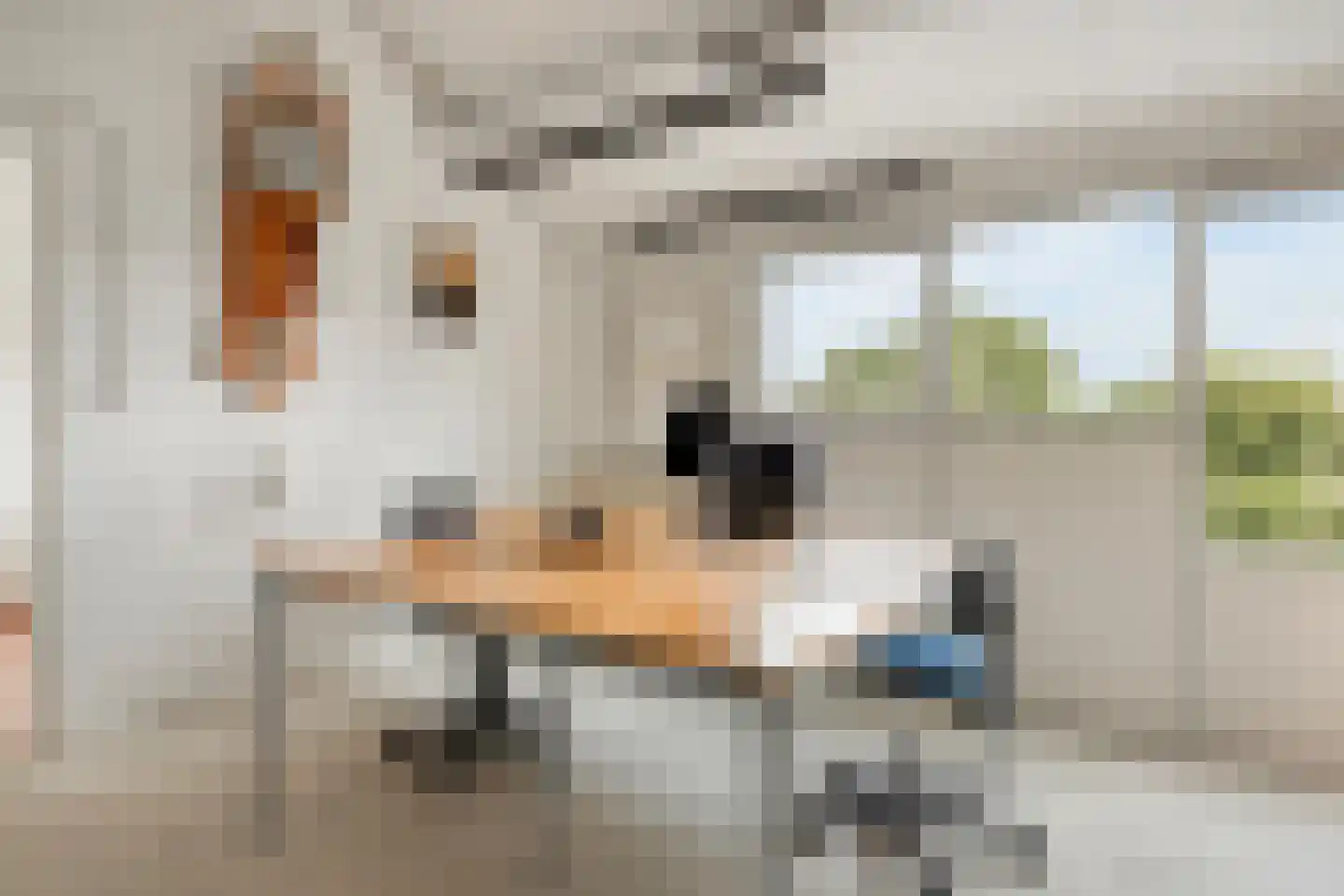 Holmsterheerd 30 Groningen thumbnail 41