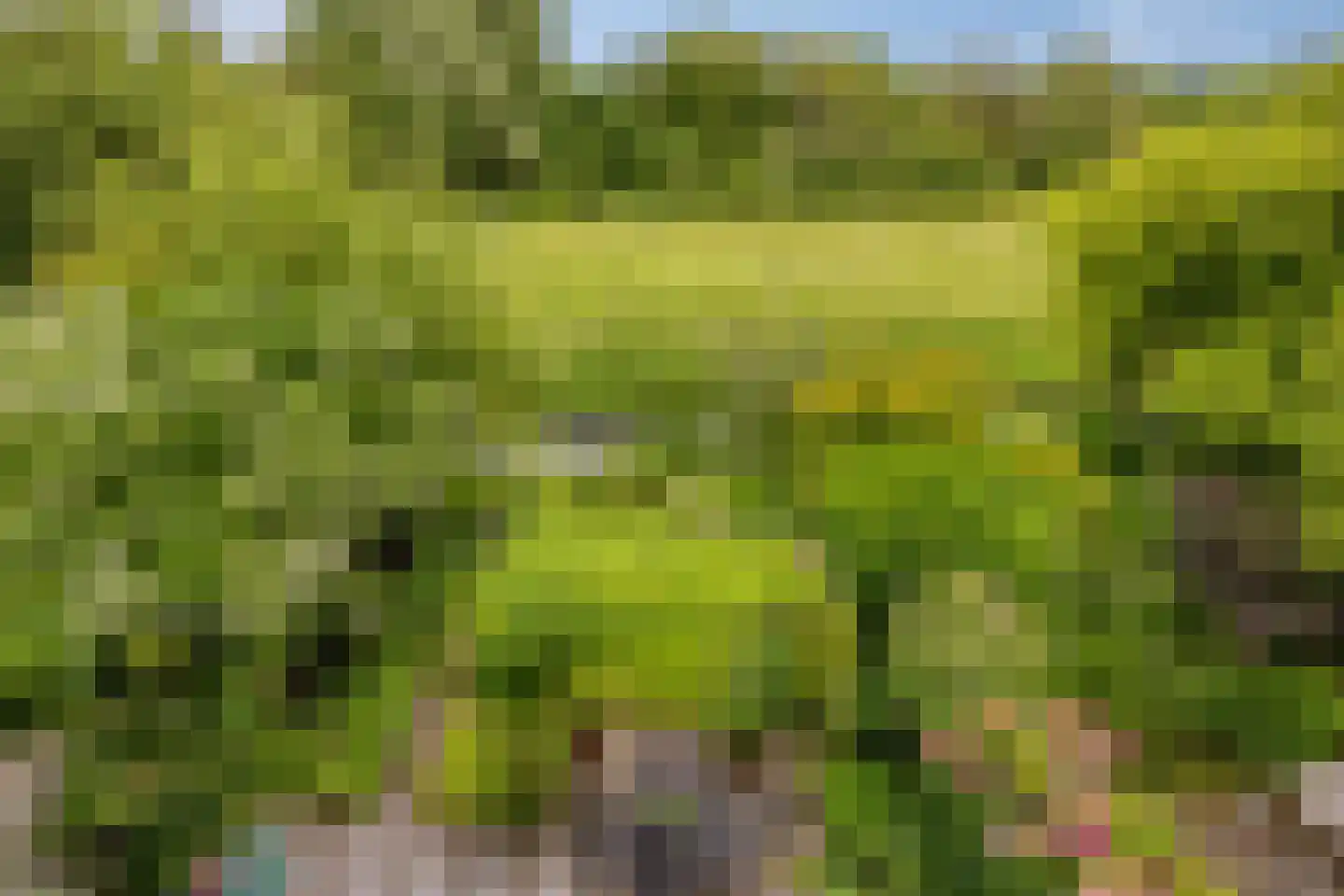 Holmsterheerd 30 Groningen thumbnail 42