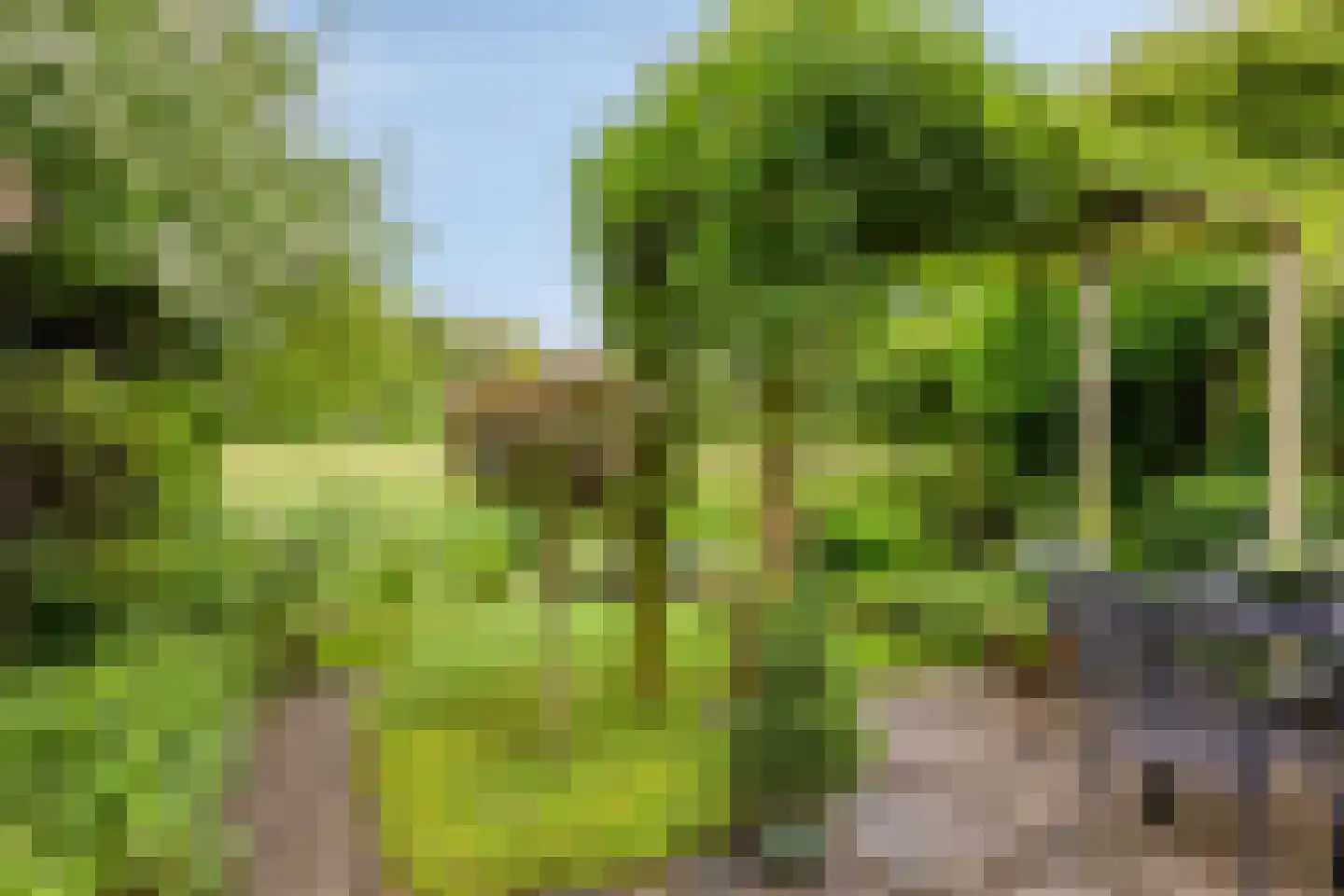 Holmsterheerd 30 Groningen thumbnail 43
