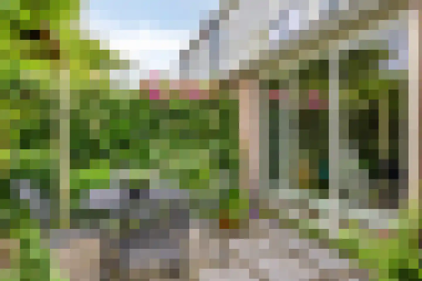 Holmsterheerd 30 Groningen thumbnail 44