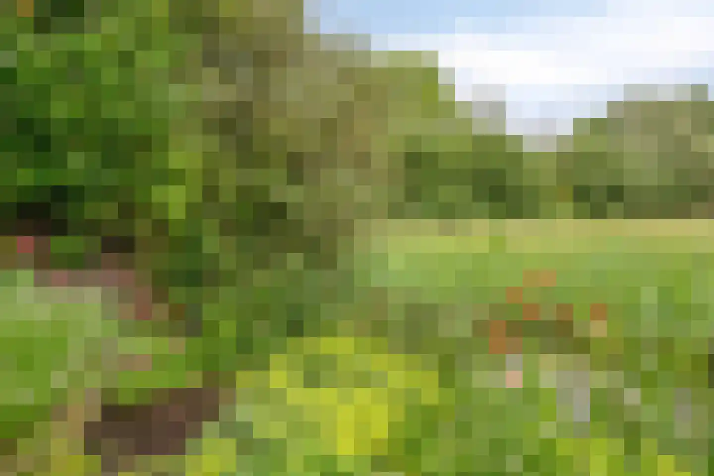 Holmsterheerd 30 Groningen thumbnail 46