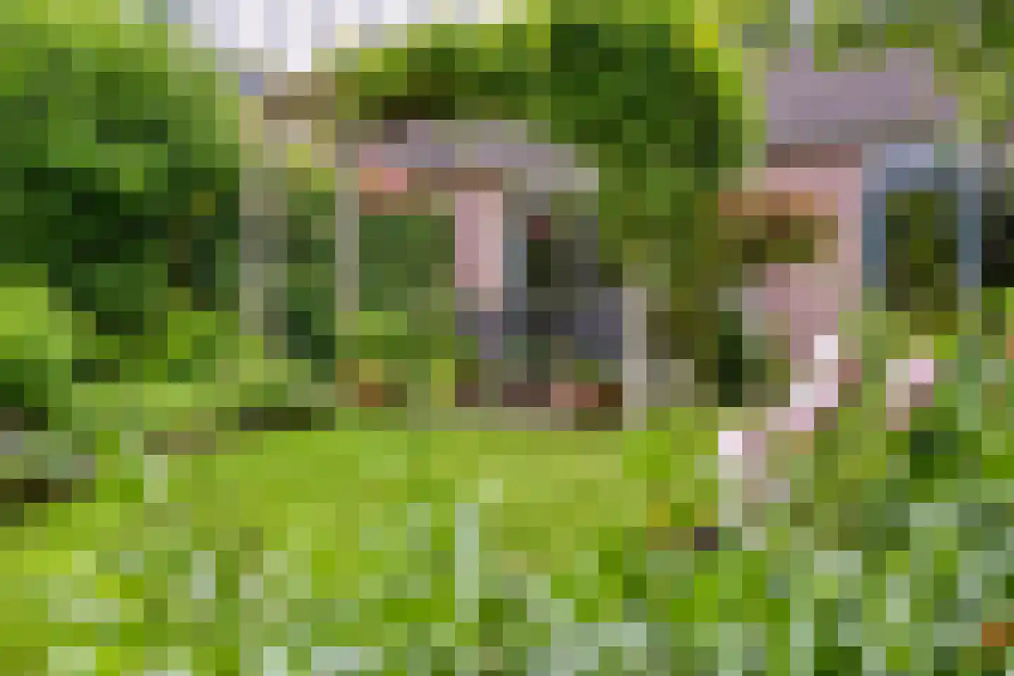 Holmsterheerd 30 Groningen thumbnail 47