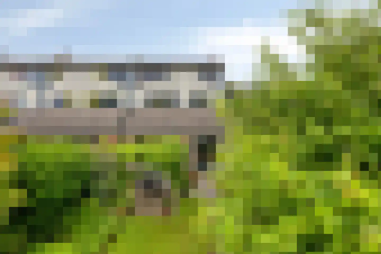 Holmsterheerd 30 Groningen thumbnail 48