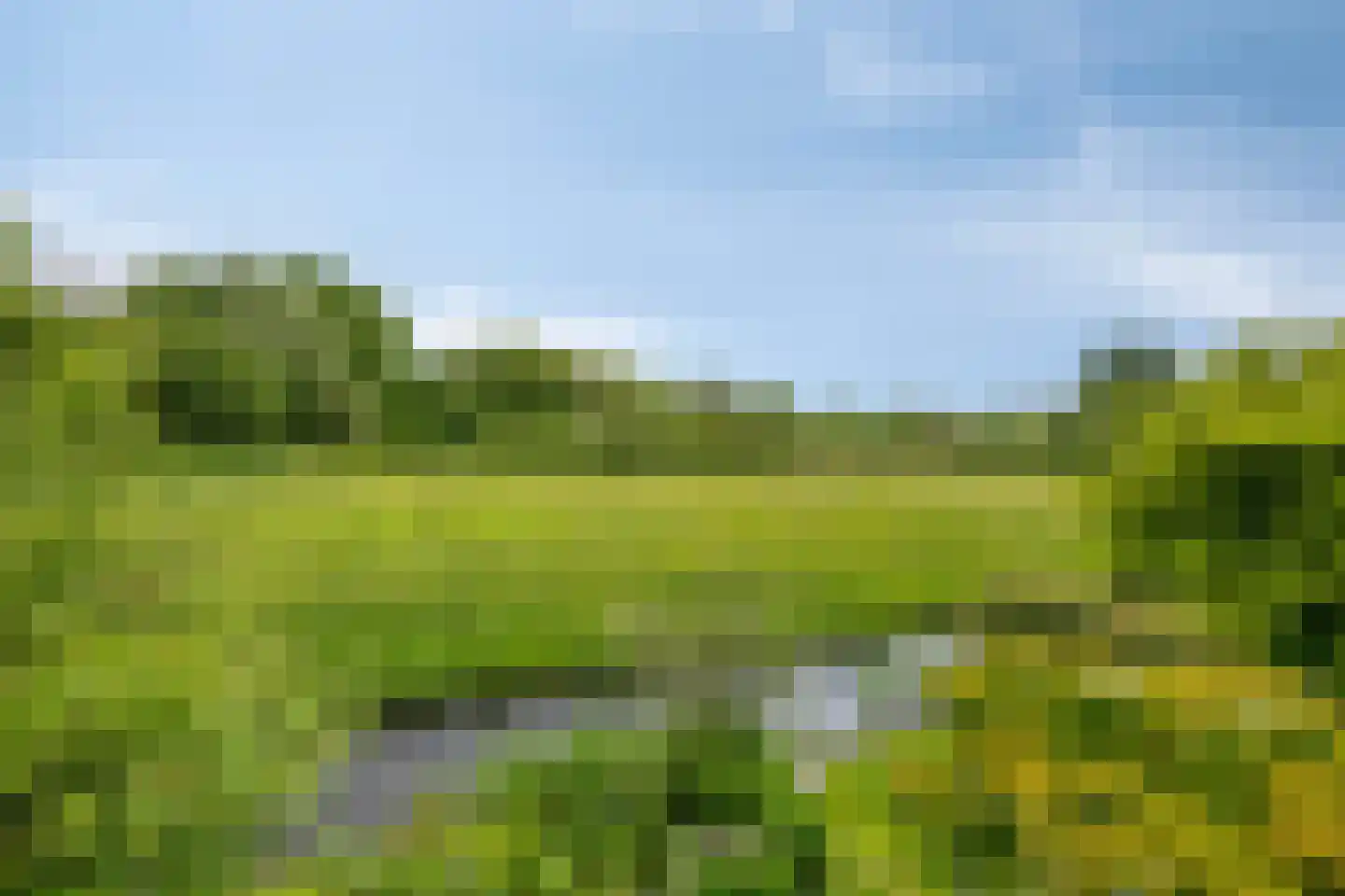 Holmsterheerd 30 Groningen thumbnail 49