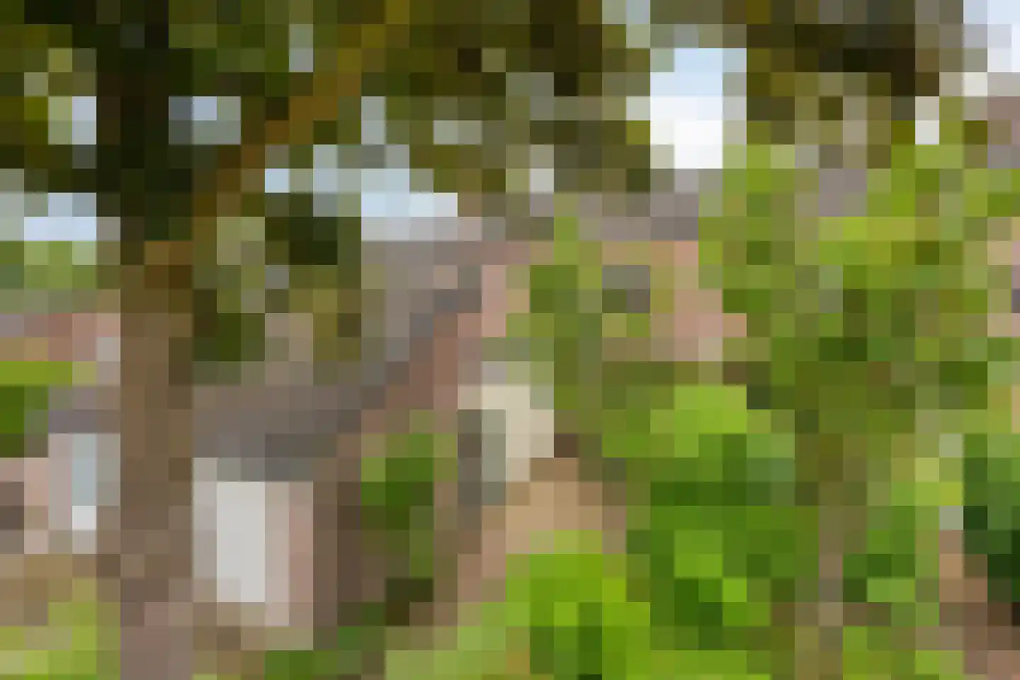Holmsterheerd 30 Groningen thumbnail 5