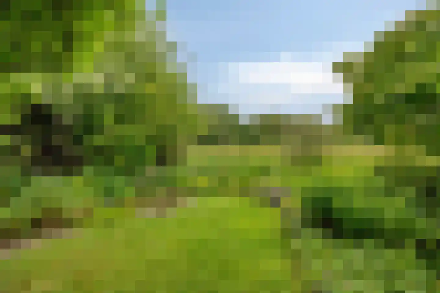 Holmsterheerd 30 Groningen thumbnail 50