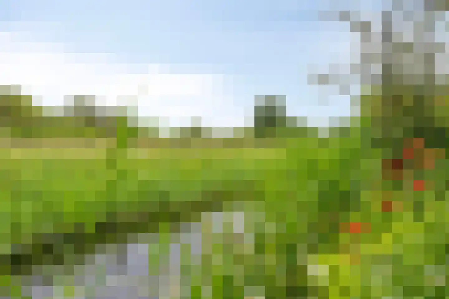 Holmsterheerd 30 Groningen thumbnail 51
