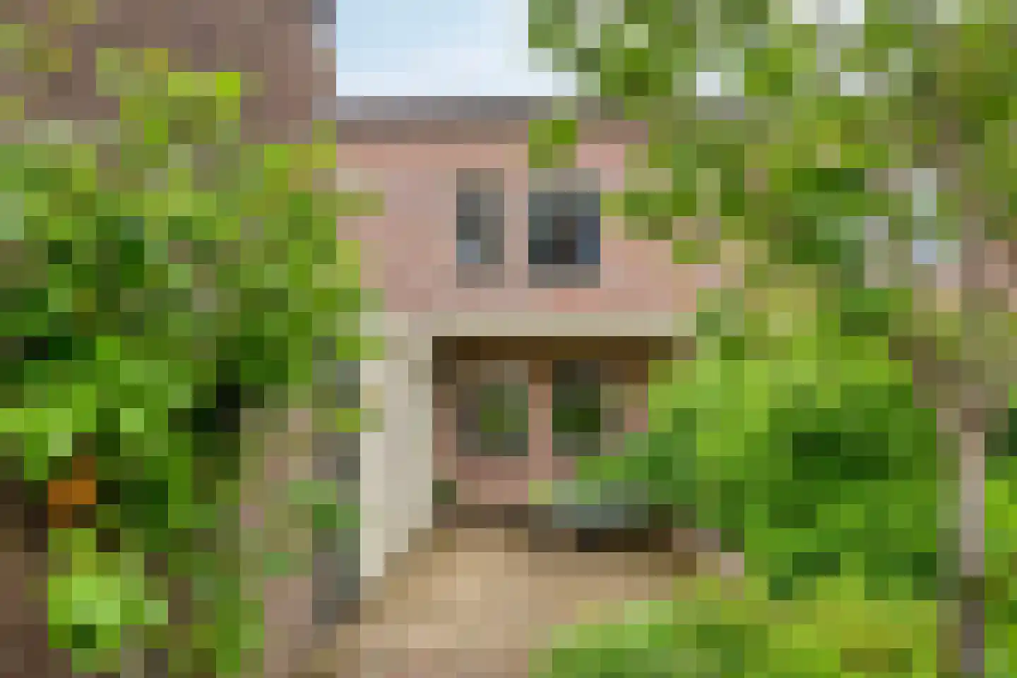 Holmsterheerd 30 Groningen thumbnail 6