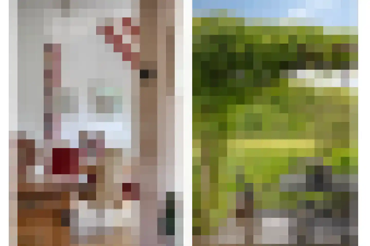 Holmsterheerd 30 Groningen thumbnail 9