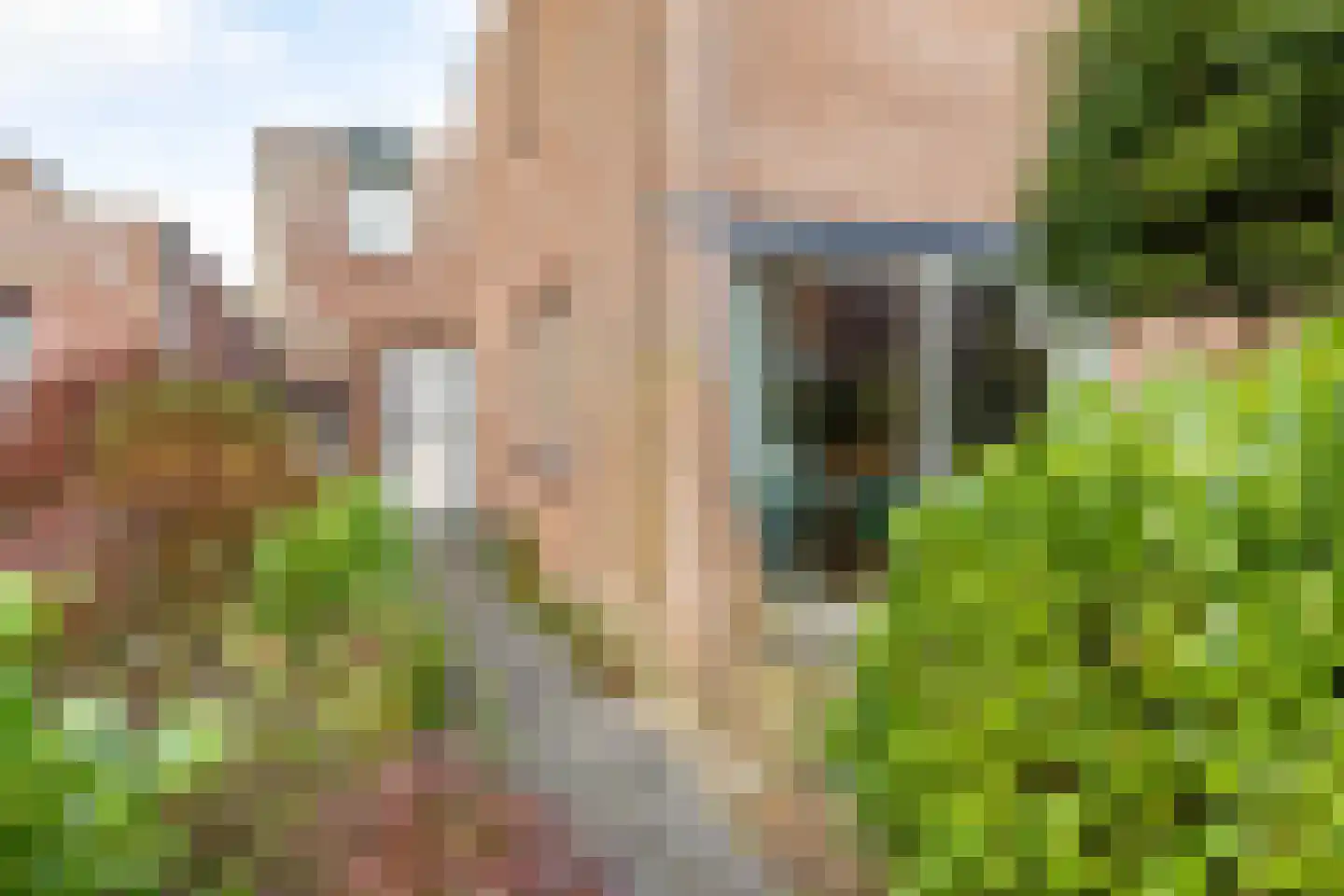 Holmsterheerd 42 Groningen thumbnail 34