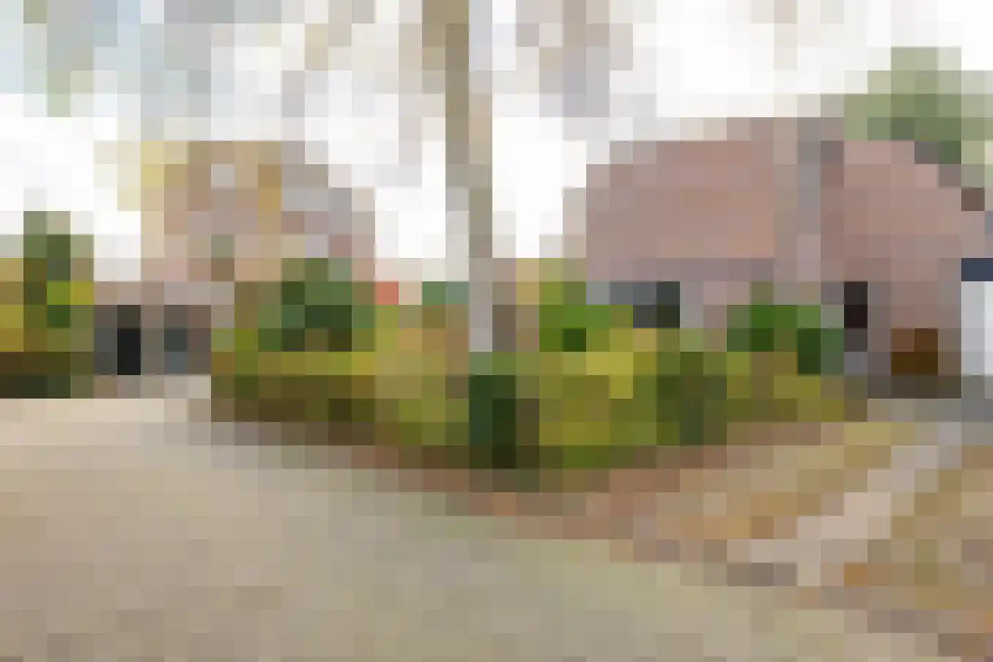 Holmsterheerd 42 Groningen thumbnail 35
