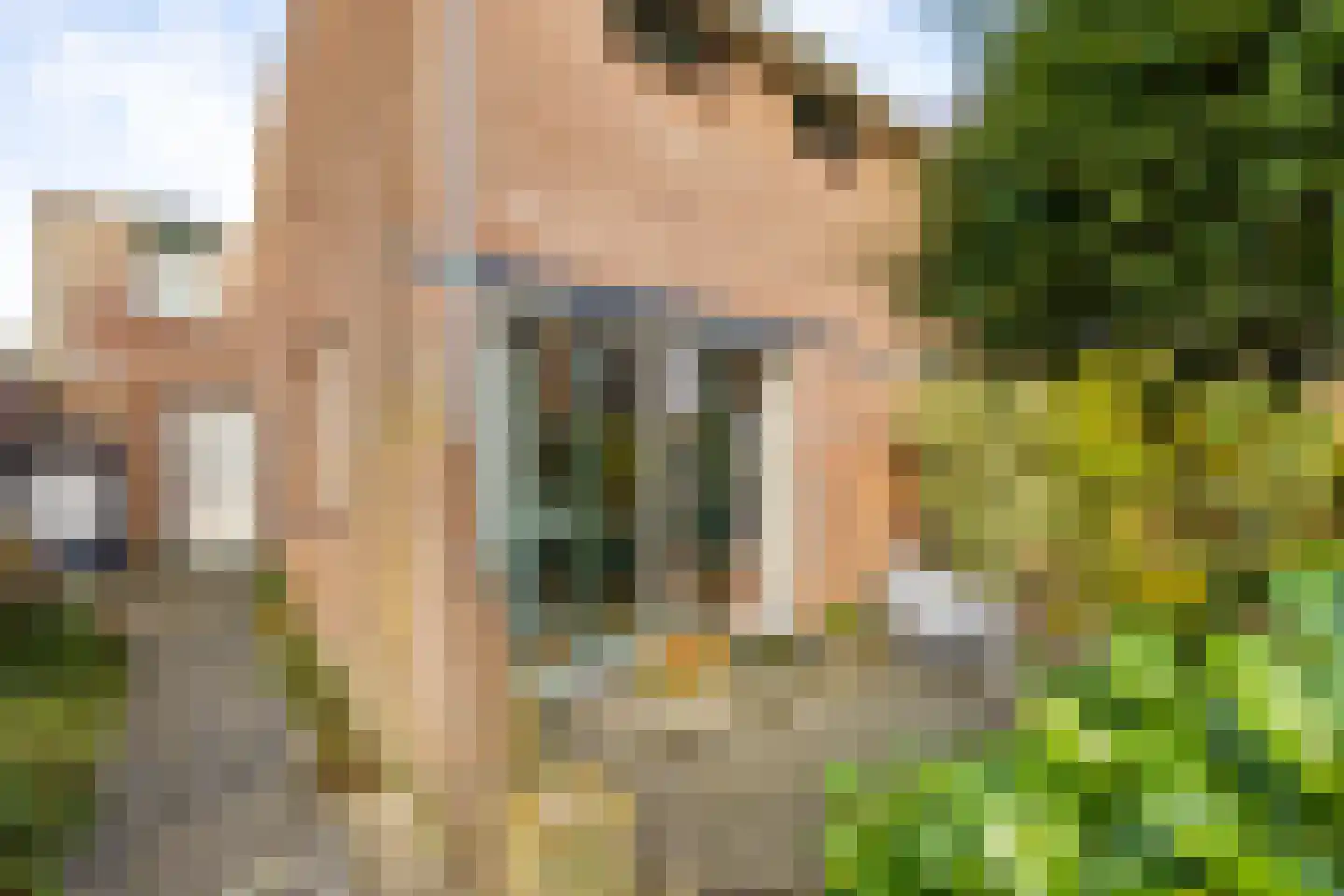 Holmsterheerd 42 Groningen thumbnail 36
