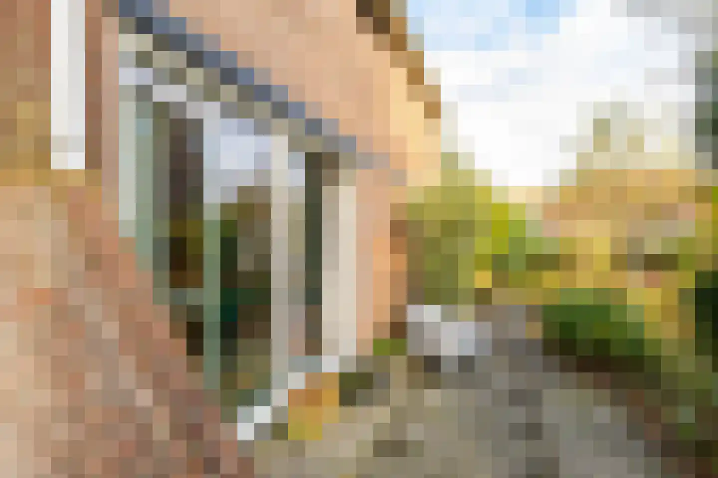 Holmsterheerd 42 Groningen thumbnail 37