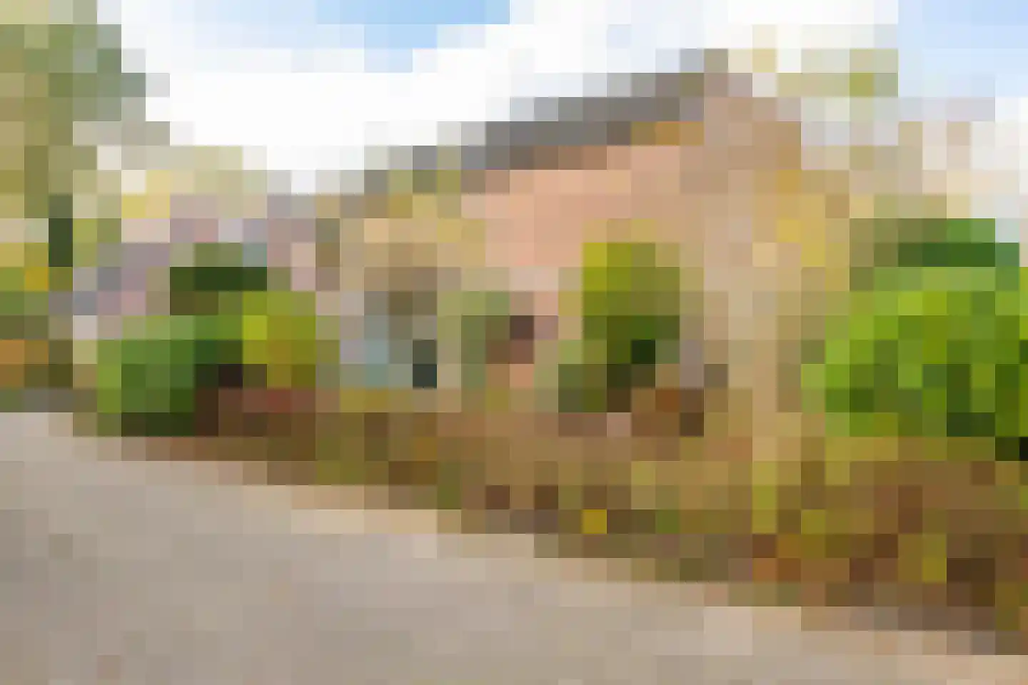 Holmsterheerd 42 Groningen thumbnail 39