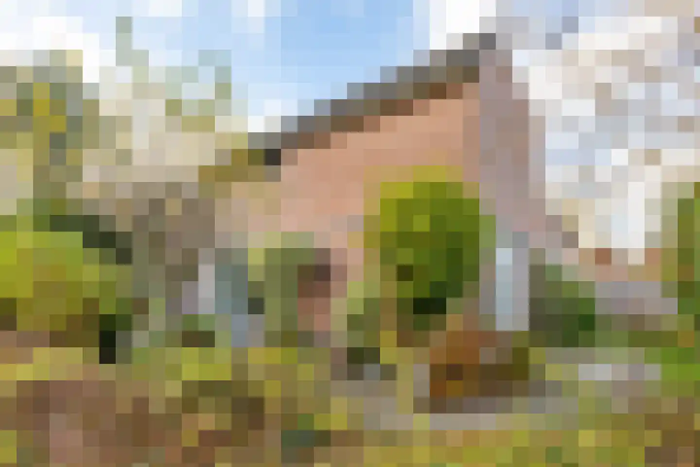 Holmsterheerd 42 Groningen thumbnail 4