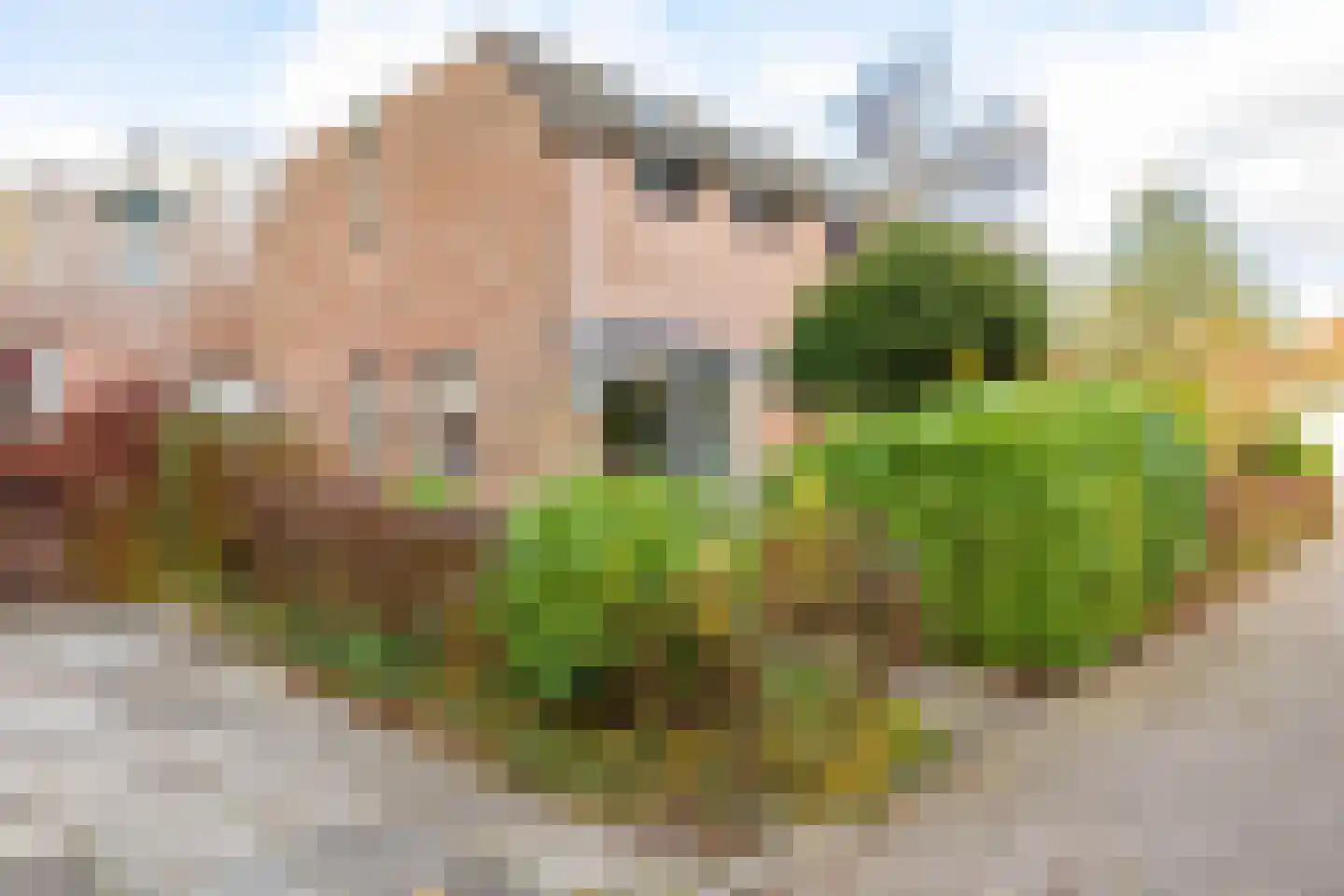 Holmsterheerd 42 Groningen thumbnail 6