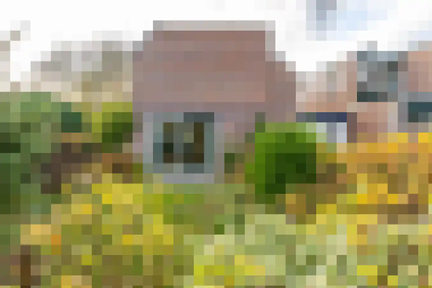 Holmsterheerd 42 Groningen thumbnail 7