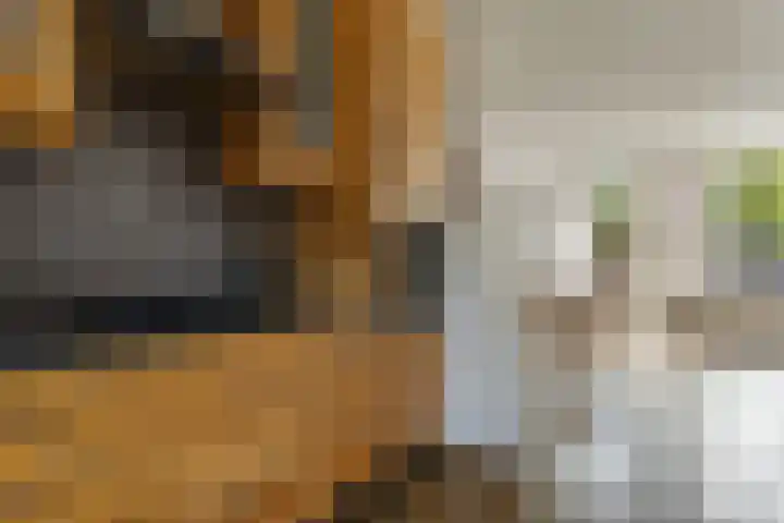 Holmsterheerd 55 Groningen thumbnail 10