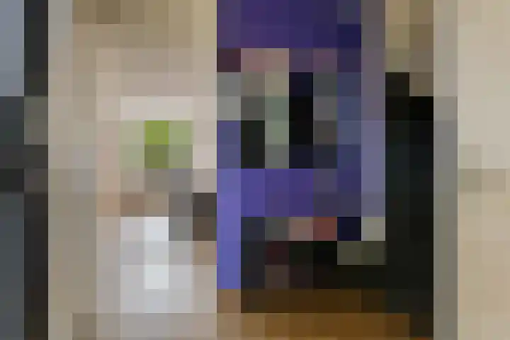 Holmsterheerd 55 Groningen thumbnail 11