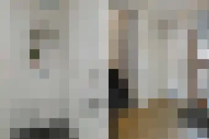 Holmsterheerd 55 Groningen thumbnail 12