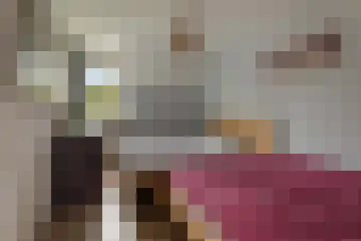 Holmsterheerd 55 Groningen thumbnail 13