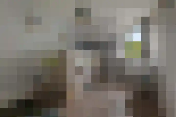 Holmsterheerd 55 Groningen thumbnail 14