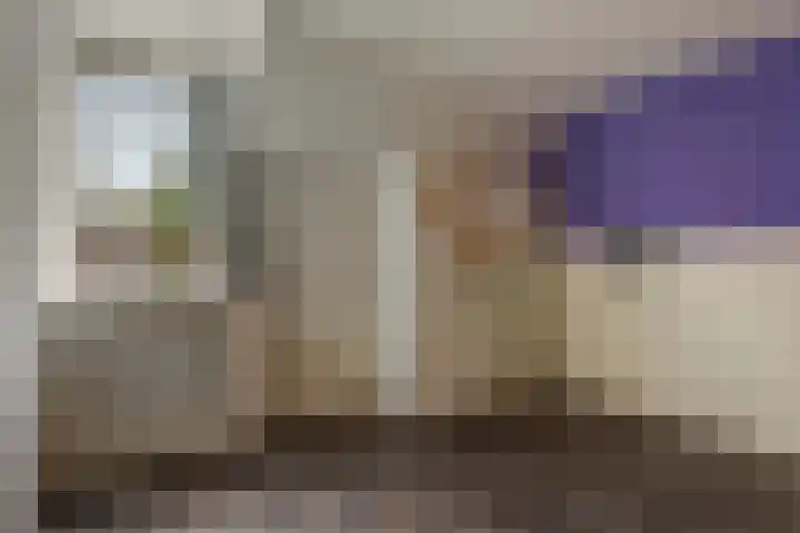 Holmsterheerd 55 Groningen thumbnail 15