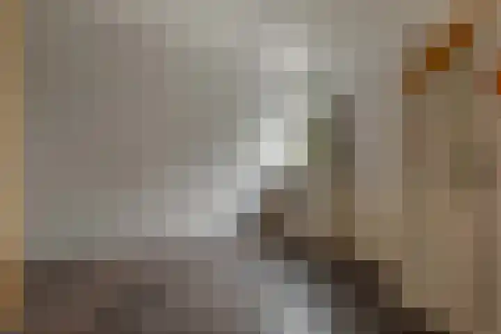 Holmsterheerd 55 Groningen thumbnail 18