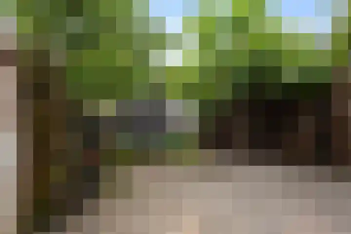 Holmsterheerd 55 Groningen thumbnail 19