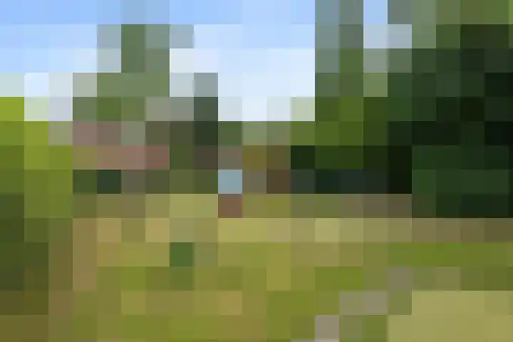 Holmsterheerd 55 Groningen thumbnail 22