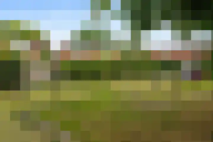Holmsterheerd 55 Groningen thumbnail 23