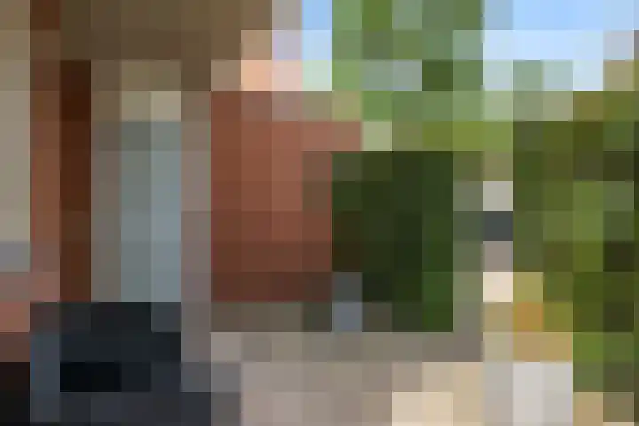 Holmsterheerd 55 Groningen thumbnail 24