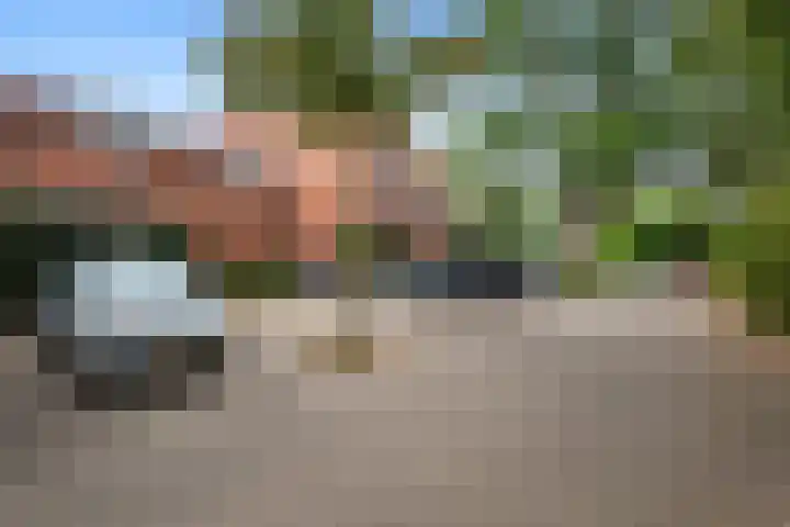 Holmsterheerd 55 Groningen thumbnail 27