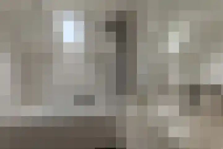 Holmsterheerd 55 Groningen thumbnail 4